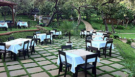 Stone Water Eco Resort, Goa - Restaurant3